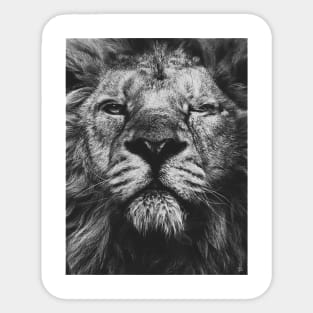 Lion Sticker